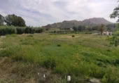 Terreny no urbanitzable en venda a la España, Calasparra, ref.: TR282277 foto