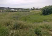Terreny no urbanitzable en venda a la España, Calasparra, ref.: TR282277 foto