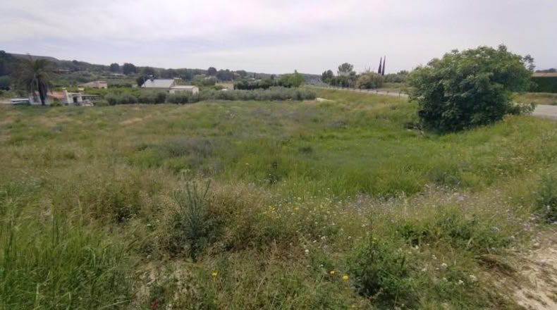 Murcia - Calasparra - 3500m2