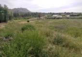 Terreny no urbanitzable en venda a la España, Calasparra, ref.: TR282277 foto