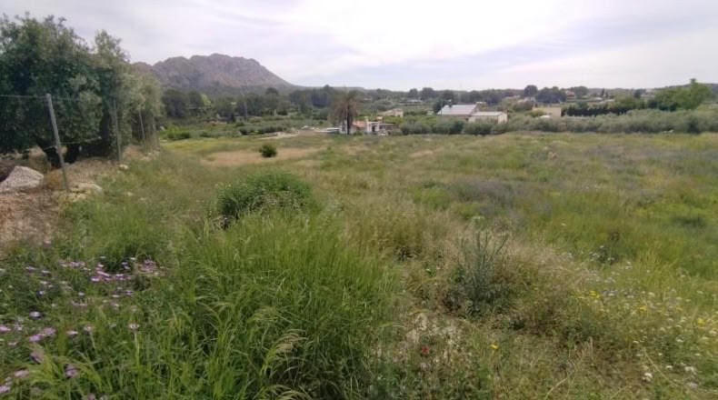 Murcia - Calasparra - 3500m2