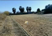 Non-developable land for sale on España, Sagunto, ref: TR113805 photo