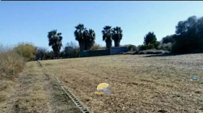 València - Sagunto - 3000m2