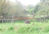 Non-developable land for sale on España, O Porriño, ref: TR113856 photo