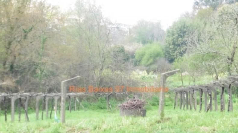 Pontevedra - Porriño - 615m2