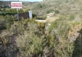 Terreno no urbanizable en venta en la España, Alfarp, ref: TR134452 foto