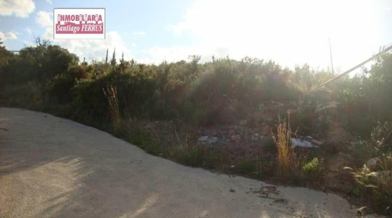 Valencia - Alfarb - 800m2