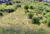 Country house with land for sale on España, San Román de Bembibre, ref: TR296387 photo