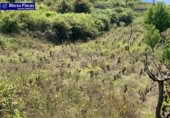 Country house with land for sale on España, San Román de Bembibre, ref: TR296387 photo