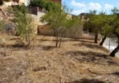 Urban land for sale on España, els Omells de na Gaia, ref: TR120204 photo