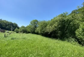 Cangas de Onís 1000&nbsp;m² 