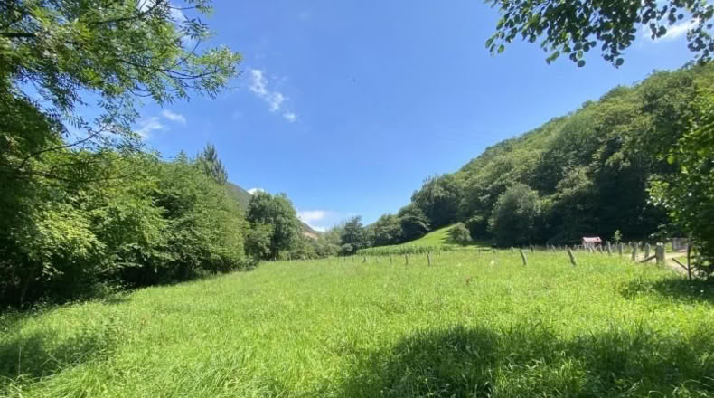 Asturias - Cangas de Onís - 1000m2