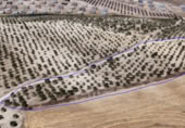 Terreno no urbanizable en venta en la España, Los Llanos, ref: TR117742 foto