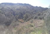 Terreny no urbanitzable en venda a la España, Calasparra, ref.: TR119491 foto