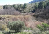 Terreny no urbanitzable en venda a la España, Calasparra, ref.: TR119491 foto