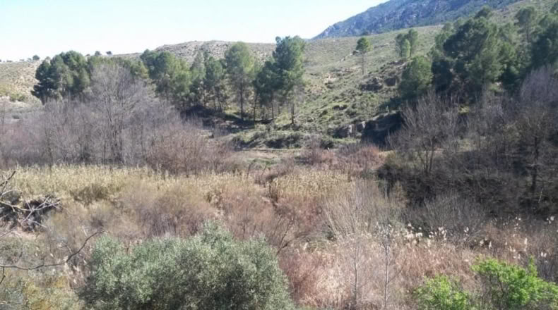 Múrcia - Calasparra - 6000m2