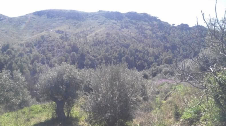 Múrcia - Calasparra - 6000m2
