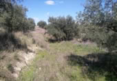 Terreny no urbanitzable en venda a la España, Calasparra, ref.: TR119491 foto