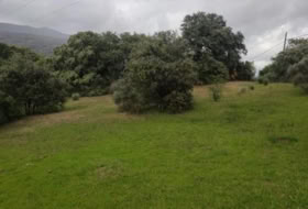 Plasencia 8179&nbsp;m² 