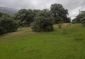 Land suitable for development for sale on España, Plasencia, ref: TR121449 photo