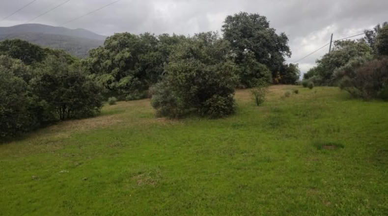 Cáceres - Plasencia - 8179m2
