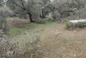 Plasencia 8179&nbsp;m² 