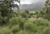 Land suitable for development for sale on España, Plasencia, ref: TR121449 photo