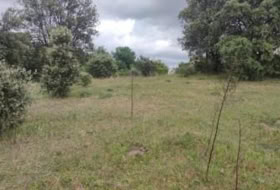 Plasencia 8179&nbsp;m² 