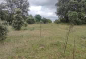 Land suitable for development for sale on España, Plasencia, ref: TR121449 photo