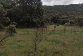 Plasencia 8179&nbsp;m² 
