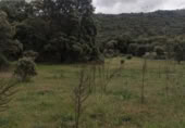 Land suitable for development for sale on España, Plasencia, ref: TR121449 photo