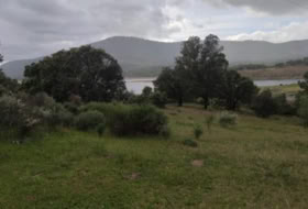 Plasencia 8179&nbsp;m² 