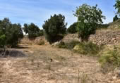 Xalet independent amb terreny en venda a la España, Valdealgorfa, ref.: TR353014 foto