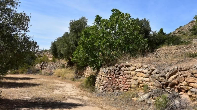 Teruel - Valdealgorfa - 20m2