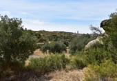 Xalet independent amb terreny en venda a la España, Valdealgorfa, ref.: TR353014 foto