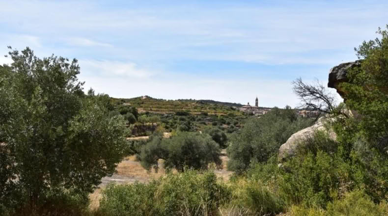 Teruel - Valdealgorfa - 20m2
