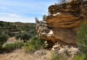 Xalet independent amb terreny en venda a la España, Valdealgorfa, ref.: TR353014 foto