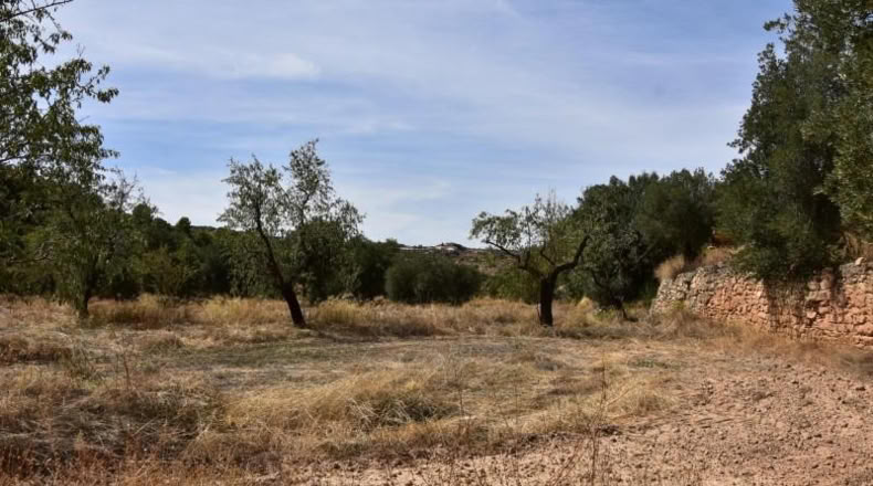 Teruel - Valdealgorfa - 20m2