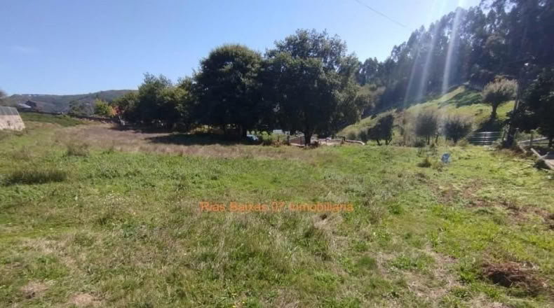 Pontevedra - Pazos de Borbén - 1344m2