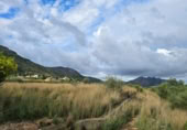 Non-developable land for sale on España, Tormos, ref: TR394775 photo
