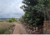 Non-developable land for sale on España, Tormos, ref: TR394775 photo