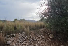 Tormos 3029&nbsp;m² 