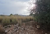 Non-developable land for sale on España, Tormos, ref: TR394775 photo