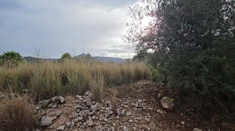 Ciudad Real - Tomelloso - 3029m2