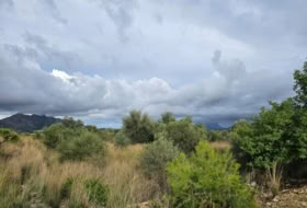 Tormos 3029&nbsp;m² 