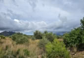 Non-developable land for sale on España, Tormos, ref: TR394775 photo