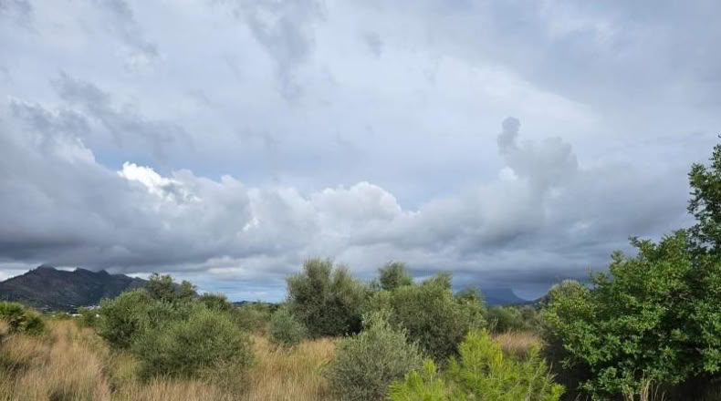 Ciudad Real - Tomelloso - 3029m2