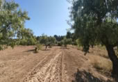 Chalet independiente con terreno en venta en la España, Valderrobres, ref: TR335971 foto