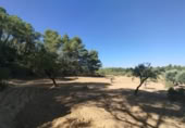 Chalet independiente con terreno en venta en la España, Valderrobres, ref: TR335971 foto