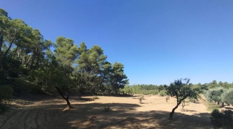 Teruel - Valderrobres - 20m2